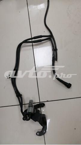 XR853345 Jaguar 