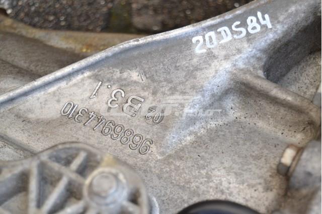  Peugeot/Citroen 20DS84 ціна, від 278.64 USD