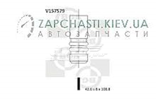Купити V157579 BGA Клапан впускний