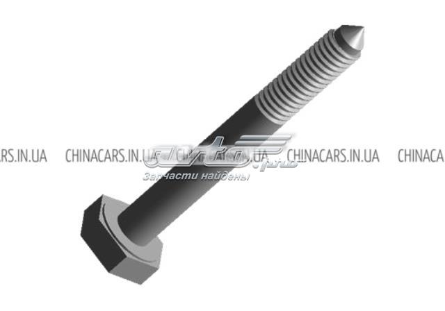Болт кріплення заднього нижнього важеля Chery N10023602 ціна, від 3.14 USD