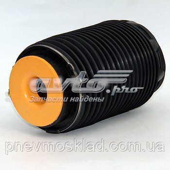 553603M501 Hyundai/Kia Пружина задня, права