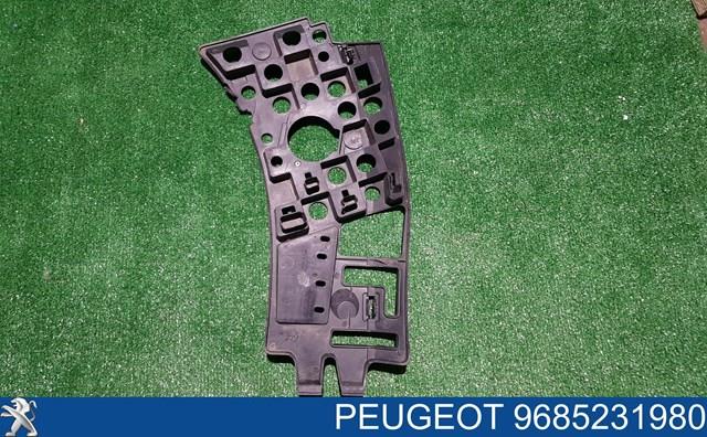 9685231980 Peugeot/Citroen