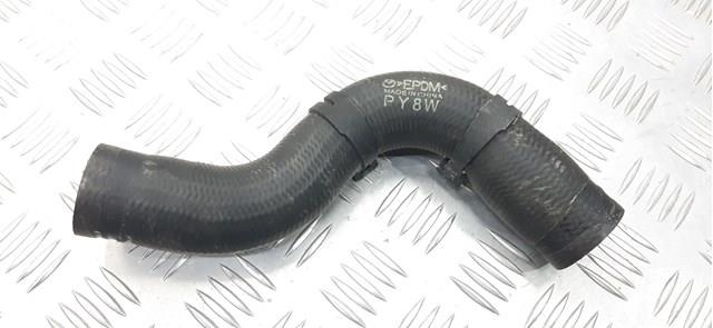 Купити PY8W1518X Mazda Шланг/патрубок радіатора охолодження, верхній