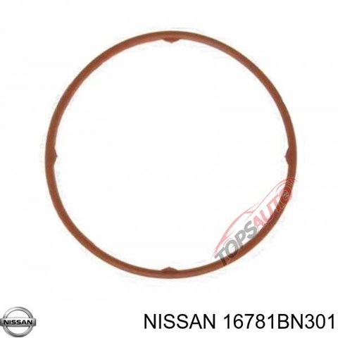  16781BN301 Nissan