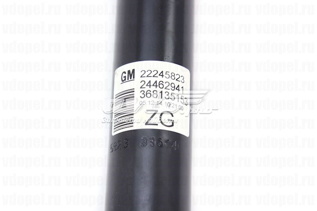 Задній амортизатор General Motors 93172195