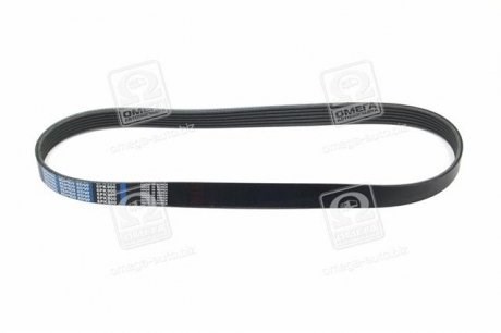 Купити 5PK905 Dongil Ремінь генератора