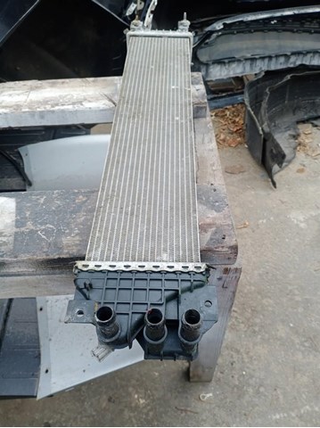 Купити DG938D048AC Ford Радіатор охолодження, додатковий