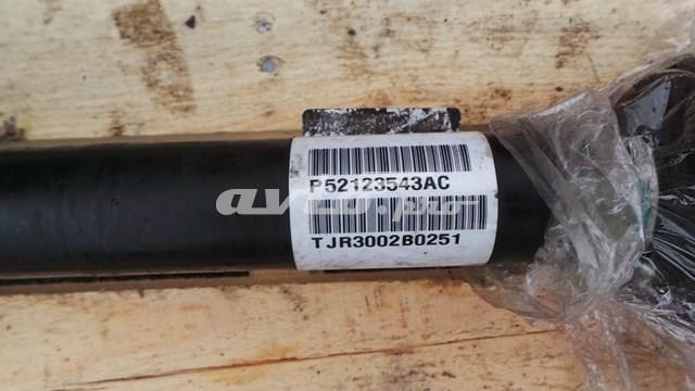  Chrysler 52123543AC