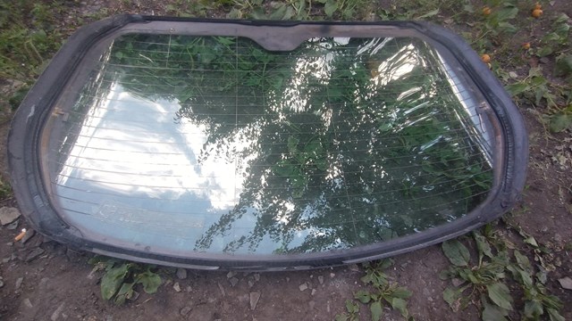 Купити GS5601D22 XYG Скло ляди