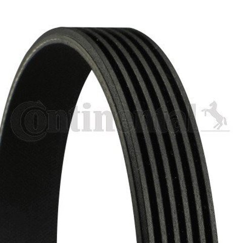 Купити 6PK2230 Continental/Siemens Ремінь генератора
