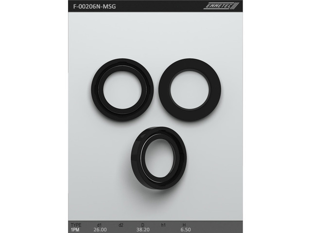  F00206 MSG