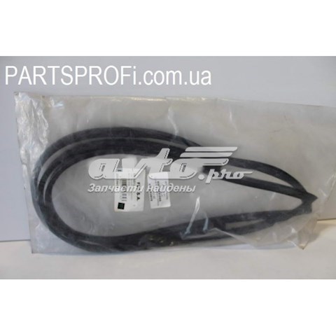 Молдинг лобового скла FPS GS2201P110X