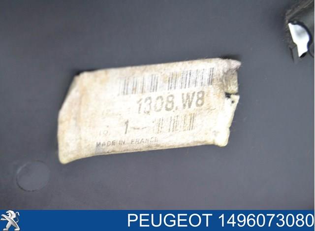 Купити 1496073080 Peugeot/Citroen 