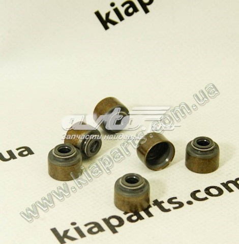 Сальник клапана (маслознімний), впуск/випуск Hyundai/Kia 222243CAB0 ціна, від 1.42 USD