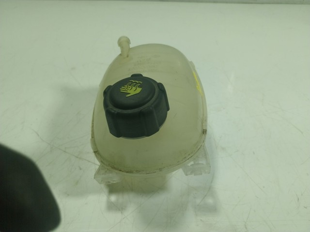 217102572R Renault (RVI) Розширювальний бачок охолодження