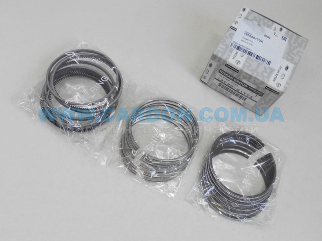  Nissan/Infiniti 1203881T0A ціна, від 143.42 USD