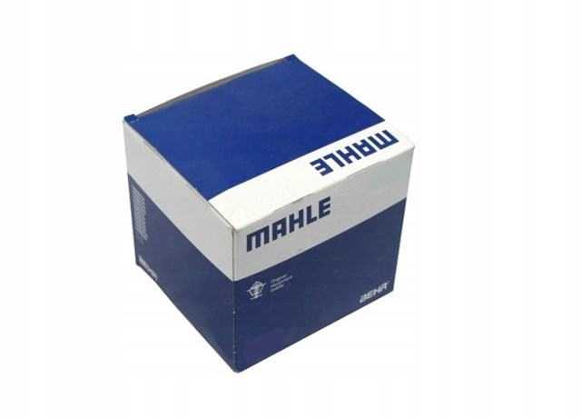 Поршень в комплекті на 1 циліндр, 2-й ремонт (+0,50) 028PI00100002 Mahle Original