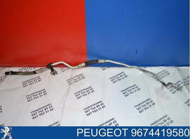 9674419580 Peugeot/Citroen 