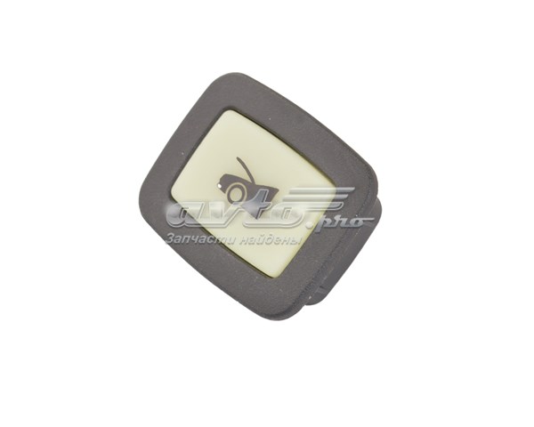 Купити 100442900R Tesla 