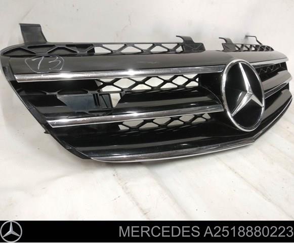 A2518880223 Mercedes 