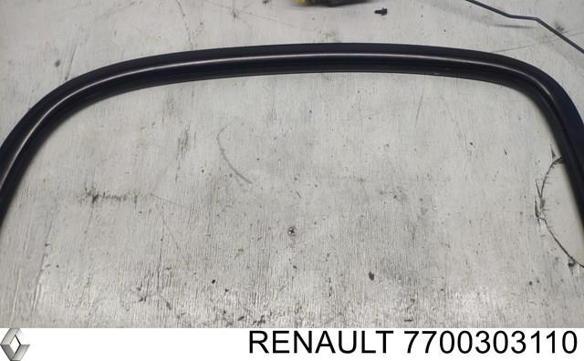  8200921435 Renault (RVI)