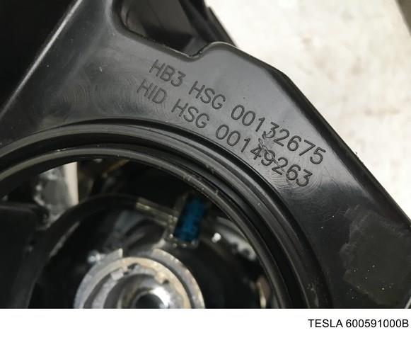 600591000B Tesla 