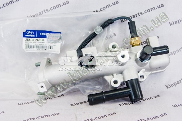  256002C000 Hyundai/Kia