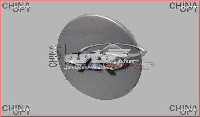  Chery S113100510AM