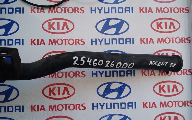  2546026000 Hyundai/Kia