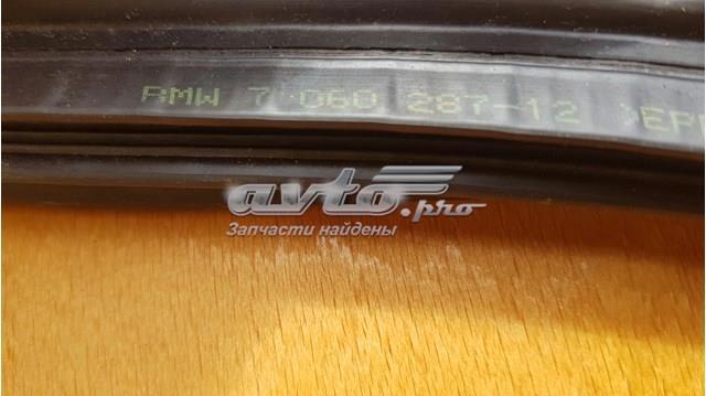 Ущільнювач двері передньої (на кузові) BMW 7060287 ціна, від 45.60 USD
