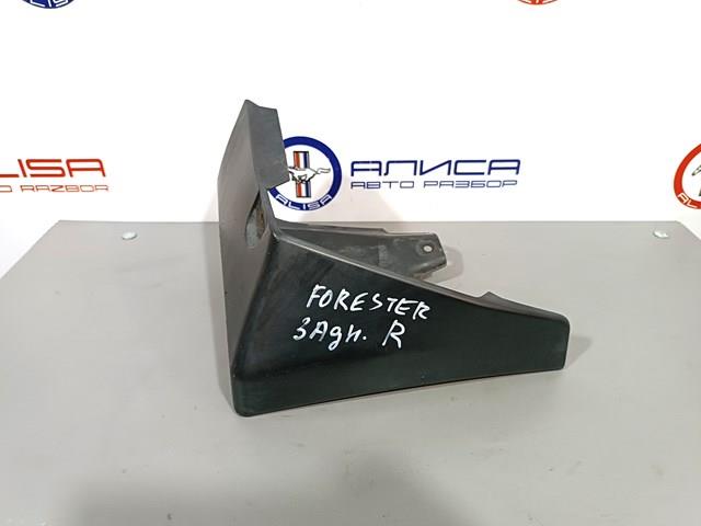Бризковики задній, правий Subaru J1017SG255 ціна, від 12.67 USD