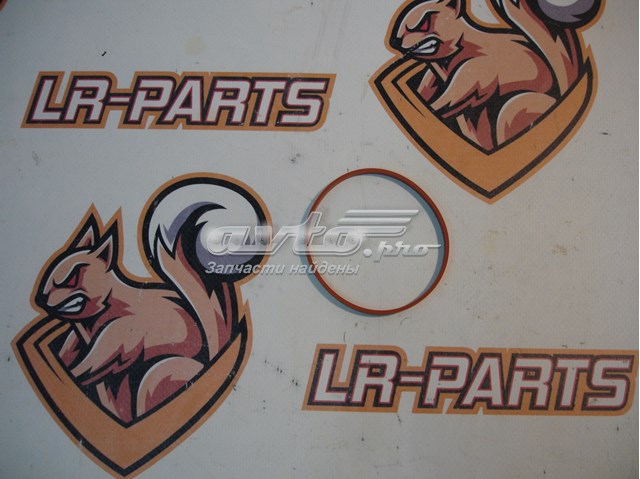 Прокладка дросельної заслінки LR074073 Land Rover