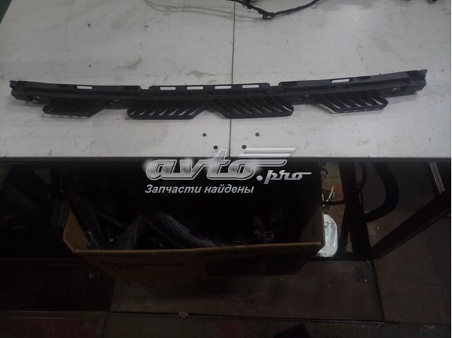 2GA805545 VAG 