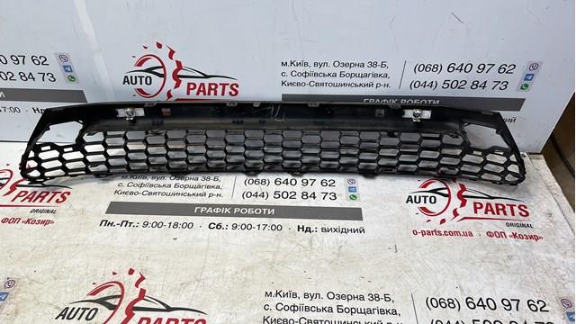 Решітка переднього бампера, центральна PTY99521GA Signeda