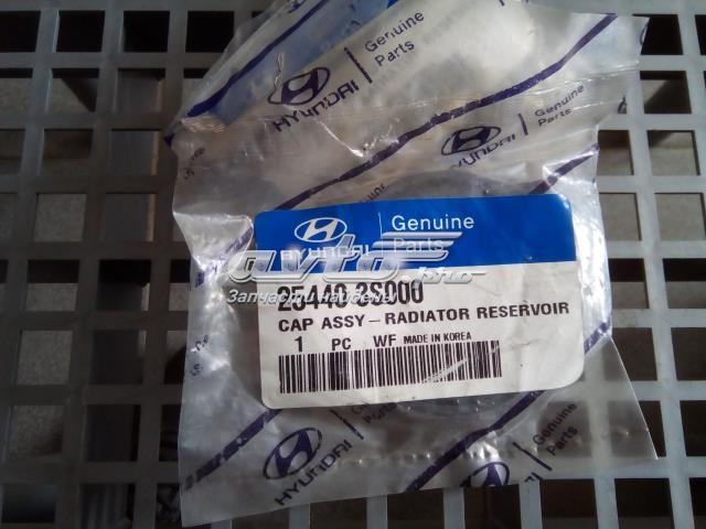 Кришка / пробка розширювального бачка Hyundai Santa Fe III позашляховик (DM) (2012 - 2018) ціна, від 3.80 USD