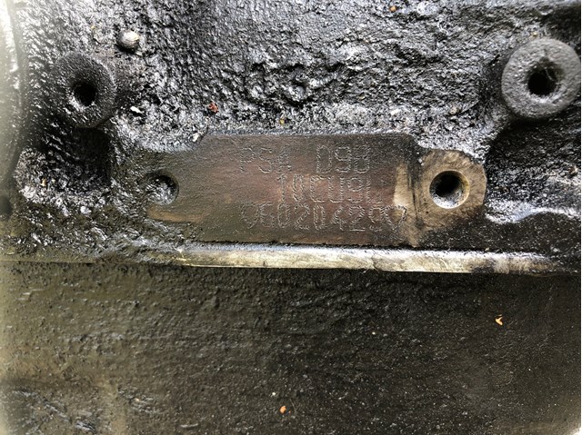 D9BXUD9AL Peugeot/Citroen Мотор в зборі
