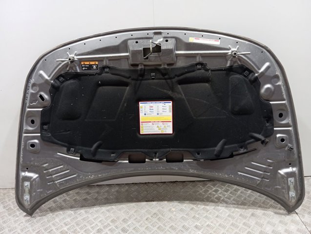 Купити 52110085 Fiat/Alfa/Lancia Капот