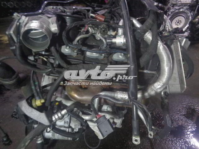 CGQ VAG 