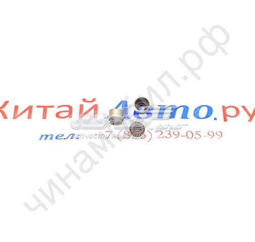  LFB479Q1007018A Lifan
