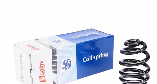 Пружини задні Solgy 212008