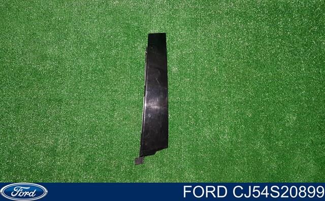 Купити CJ54S20899 Ford 