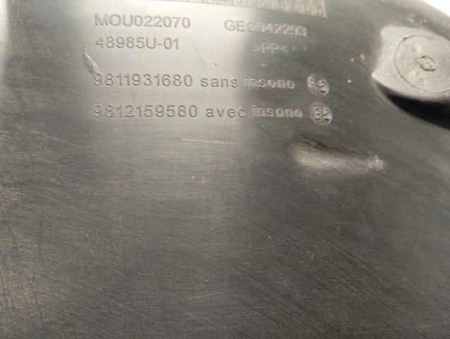 9811931680 Peugeot/Citroen 