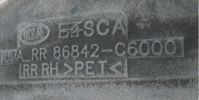 Бризковики задній, правий Hyundai/Kia 86842C6000 ціна, від 44.33 USD