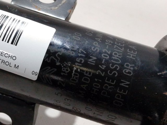 9852218480 Peugeot/Citroen Стійка передня