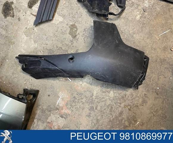  9810869977 Peugeot/Citroen
