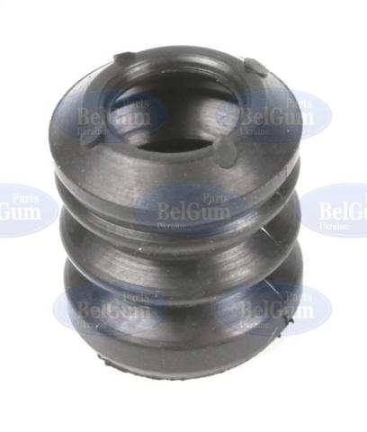 Купити BG0174 Belgum 
