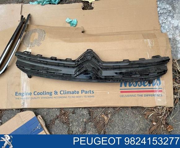 9824153277 Peugeot/Citroen 