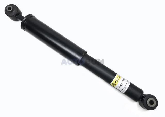 Амортизатор задній RS317790 Raiso