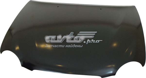Капот FPS FP5209280