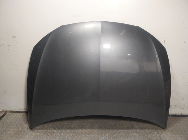 PST20012AQ Signeda Капот